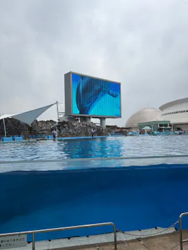 名古屋港水族館に投稿された画像（2026/4/30）
