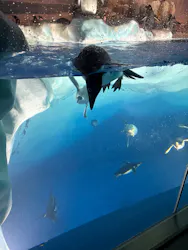 名古屋港水族館に投稿された画像（2026/4/30）