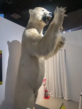 特別展「超危険生物展　科学で挑む生き物の本気」に投稿された画像（2026/4/30）