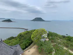 唐津城に投稿された画像（2026/4/30）