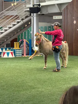 ノーザンホースパークに投稿された画像（2026/4/30）