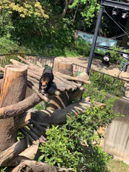 沖縄こどもの国に投稿された画像（2026/4/30）