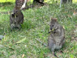 こども動物自然公園（埼玉県公園緑地協会）に投稿された画像（2026/4/30）