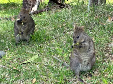 こども動物自然公園（埼玉県公園緑地協会）に投稿された画像（2026/4/30）