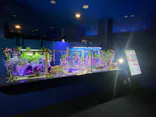 シン・マリホ水族館に投稿された画像（2026/4/30）