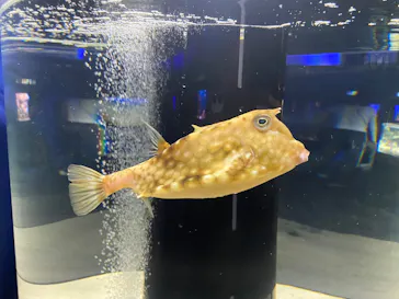 シン・マリホ水族館に投稿された画像（2026/4/30）