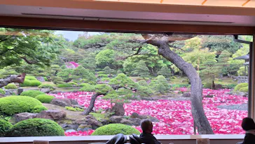 日本庭園　由志園に投稿された画像（2026/4/30）