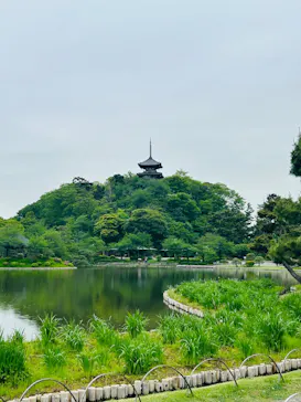 三溪園に投稿された画像（2026/4/30）