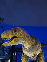 福井県立恐竜博物館に投稿された画像（2026/4/30）