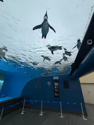 サンシャイン水族館に投稿された画像（2026/4/30）