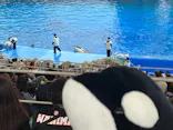 名古屋港水族館に投稿された画像（2026/4/30）