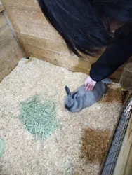 滋賀農業公園ブルーメの丘に投稿された画像（2026/4/30）