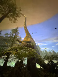 福井県立恐竜博物館に投稿された画像（2026/4/30）