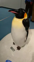 名古屋港水族館に投稿された画像（2026/4/30）