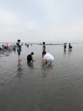 金田みたて海岸潮干狩り場に投稿された画像（2026/4/30）
