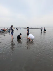 金田みたて海岸潮干狩り場に投稿された画像（2026/4/30）