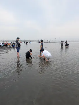 金田みたて海岸潮干狩り場に投稿された画像（2026/4/30）