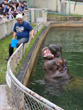 名古屋市東山動植物園に投稿された画像（2026/4/30）