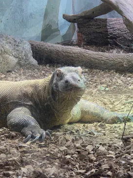名古屋市東山動植物園に投稿された画像（2026/4/30）