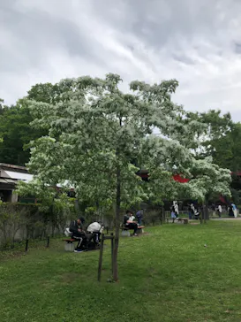 名古屋市東山動植物園に投稿された画像（2026/4/30）