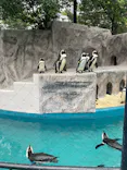 恩賜上野動物園に投稿された画像（2026/4/30）