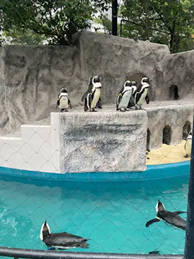 恩賜上野動物園に投稿された画像（2026/4/30）