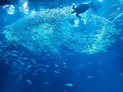 アクアワールド茨城県大洗水族館に投稿された画像（2026/4/30）