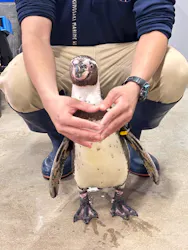 城崎マリンワールドに投稿された画像（2026/4/30）