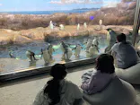 アドベンチャーワールドに投稿された画像（2026/4/30）