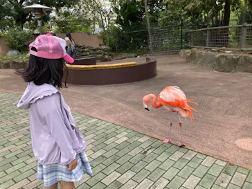 アドベンチャーワールドに投稿された画像（2026/4/30）