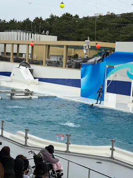 鴨川シーワールドに投稿された画像（2026/4/30）