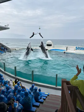 鴨川シーワールドに投稿された画像（2026/4/30）
