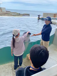 城崎マリンワールドに投稿された画像（2026/4/30）