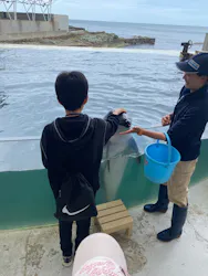 城崎マリンワールドに投稿された画像（2026/4/30）