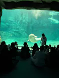 名古屋港水族館に投稿された画像（2026/4/30）