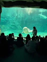 名古屋港水族館に投稿された画像（2026/4/30）