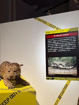 特別展「超危険生物展　科学で挑む生き物の本気」に投稿された画像（2026/4/30）