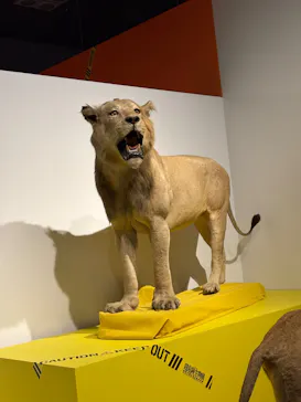特別展「超危険生物展　科学で挑む生き物の本気」に投稿された画像（2026/4/30）