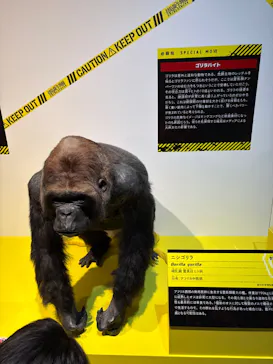 特別展「超危険生物展　科学で挑む生き物の本気」に投稿された画像（2026/4/30）