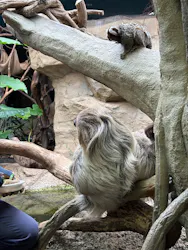 那須どうぶつ王国に投稿された画像（2026/4/30）