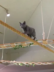 那須どうぶつ王国に投稿された画像（2026/4/30）