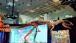 国立科学博物館に投稿された画像（2026/4/30）