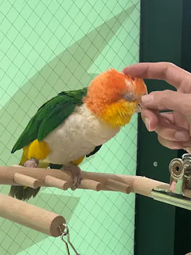 いきもの探検隊湘南に投稿された画像（2026/4/30）