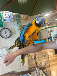 いきもの探検隊湘南に投稿された画像（2026/4/30）