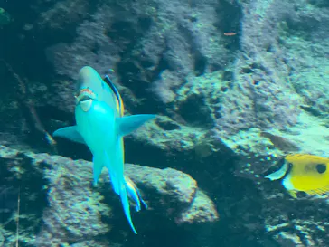 沖縄美ら海水族館に投稿された画像（2026/4/30）