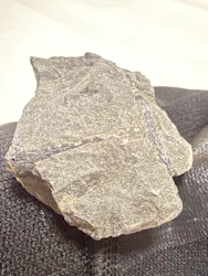 福井県立恐竜博物館に投稿された画像（2026/4/30）