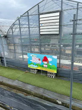原田いちごファームに投稿された画像（2026/4/30）
