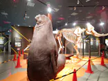 特別展「超危険生物展　科学で挑む生き物の本気」に投稿された画像（2026/5/1）