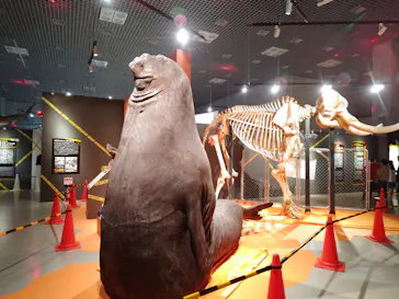 特別展「超危険生物展　科学で挑む生き物の本気」に投稿された画像（2026/5/1）