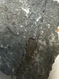 福井県立恐竜博物館に投稿された画像（2026/5/1）
